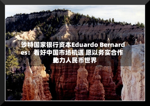 沙特国家银行资本Eduardo Bernardes：看好中国市场机遇 愿以务实合作助力人民币世界化-第2张图片