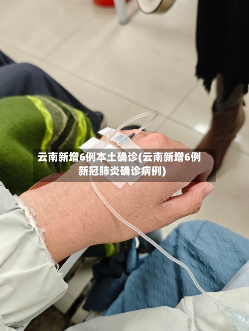 云南新增6例本土确诊(云南新增6例新冠肺炎确诊病例)-第2张图片