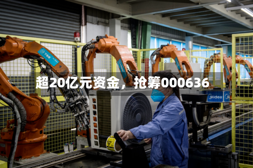 超20亿元资金,抢筹000636