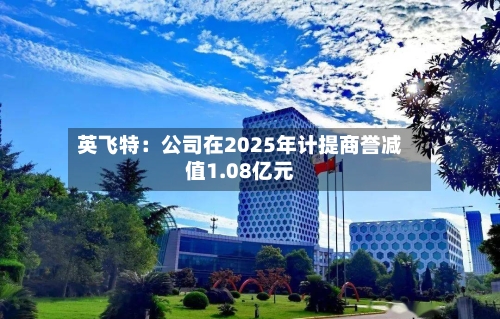 英飞特:公司在2025年计提商誉减值1.08亿元