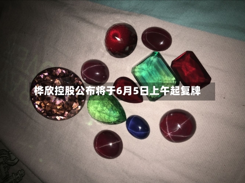 桦欣控股公布将于6月5日上午起复牌-第2张图片